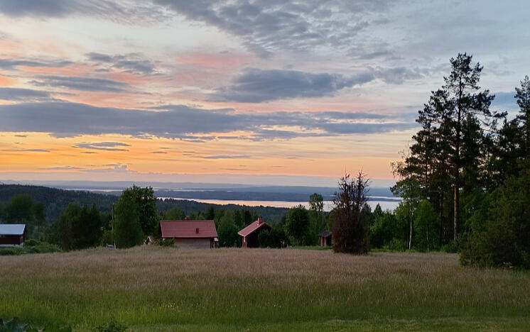 Björka VVO Utsikt viltvårdsområde